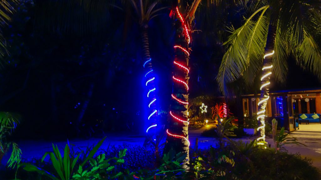 neon lights in the park. Trees decorated with garland, night illumination of a building at the beach